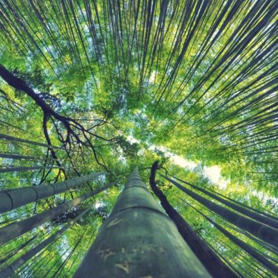 Vers le changement - Un retour à soi