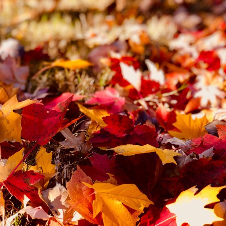 Le changement - Un retour à soi
