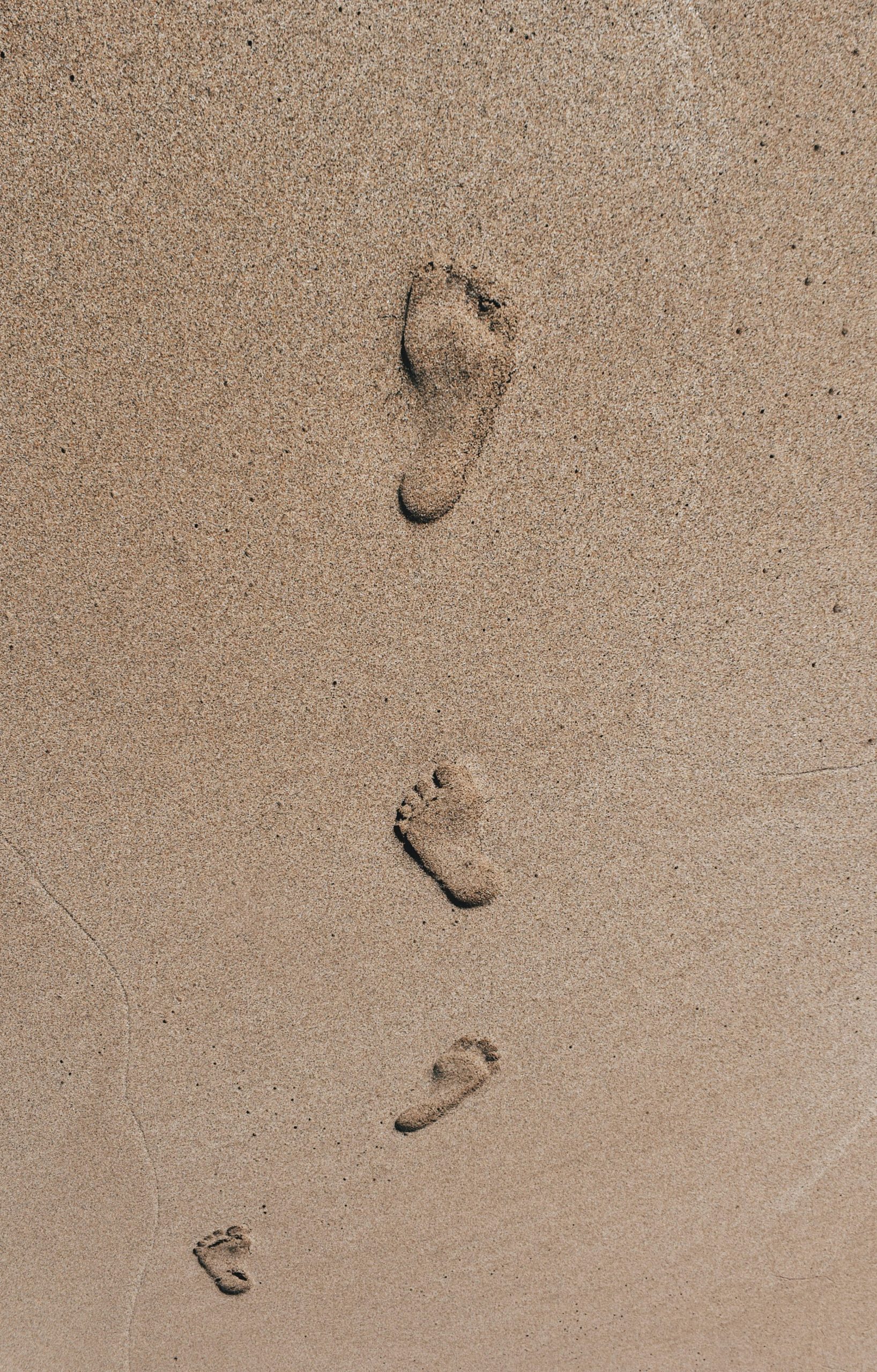 Réflexologie plantaire – Un retour à soi Réflexologie plantaire pour soi