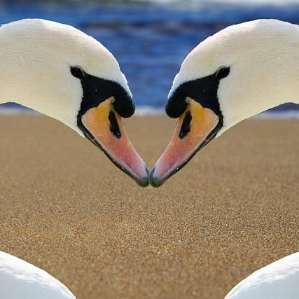 La rencontre avec l'autre